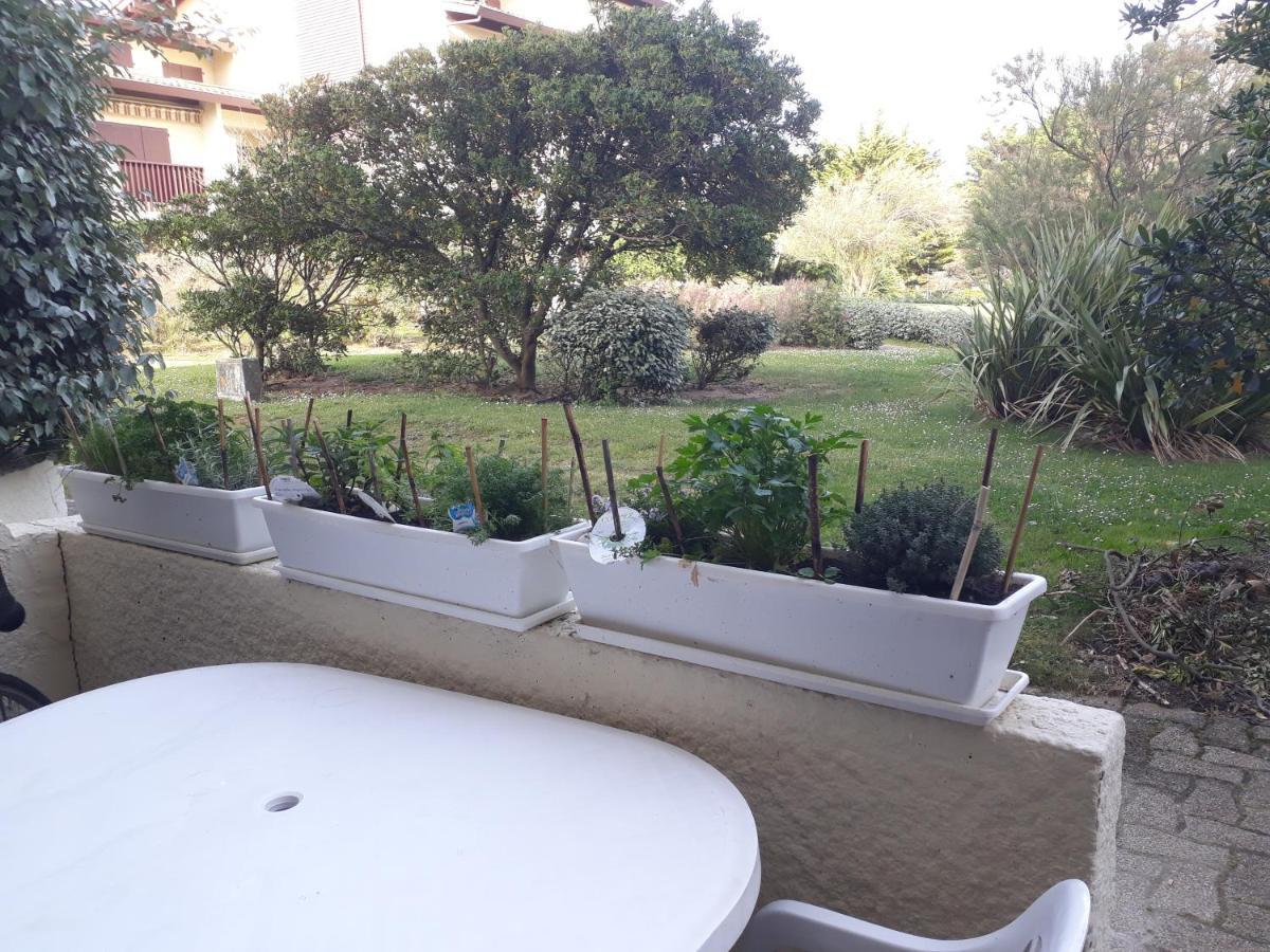 Appartement Seignosse Ocean Екстериор снимка